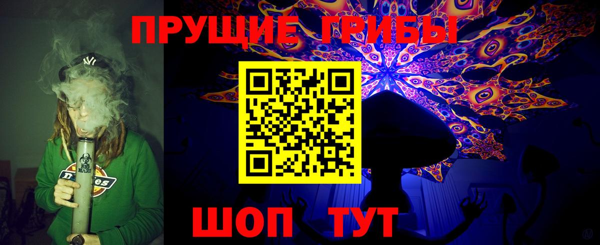 Галлюциногенные грибы мицелий  Вход с VPN  Урюпинск  Галлюциногенные грибы GOLDEN TEACHER 